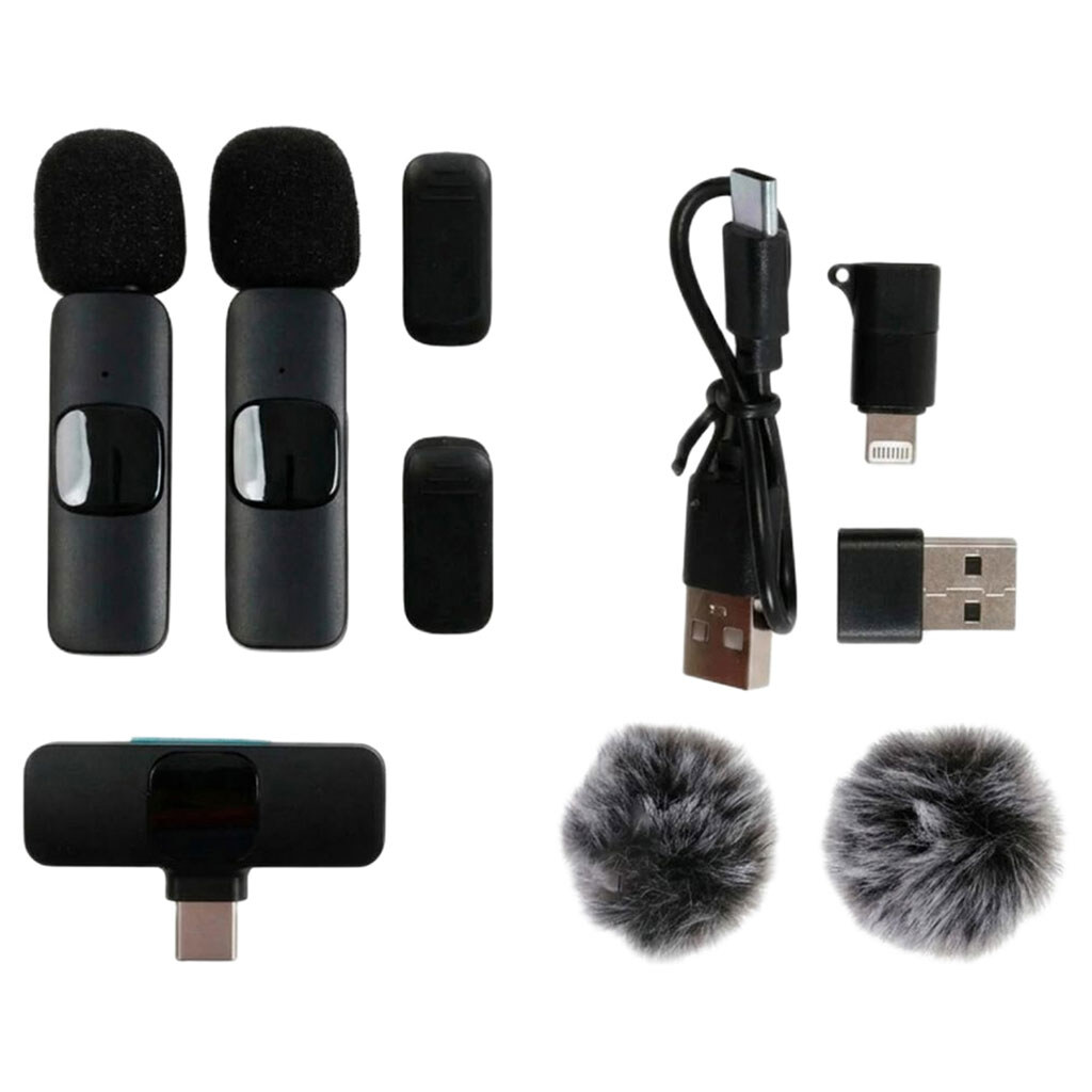 Набор: 2 микрофона, беспроводное подключение, USB-кабель, меховая ветрозащита, Mic - № 1 Набор: 2 микрофона, беспроводное подключение, USB-кабель, меховая ветрозащита, Mic - № 1