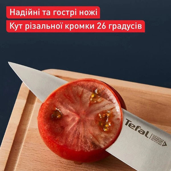 Нож-топор Tefal Ice Force - № 9 Нож-топор Tefal Ice Force - № 9