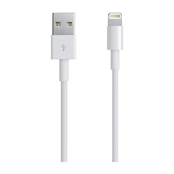 USB кабель Apple iPhone SE 2022 / iPhone 14 Pro Max / iPhone 14 Plus / iPhone 14 Pro / iPhone 14 / iPhone 13 Pro / iPhone 13 Mini / iPhone 13 / iPhone 13 Pro Max / iPhone 12 Mini / iPhone 12 Pro Max / iPhone 12 Pro, High quality, Lightning, Белый