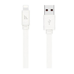 USB кабель Hoco X5 Bamboo Apple iPhone SE 2022 / iPhone 14 Pro Max / iPhone 14 Plus / iPhone 14 Pro / iPhone 14 / iPhone 13 Pro / iPhone 13 Mini / iPhone 13 / iPhone 13 Pro Max / iPhone 12 Mini / iPhone 12 Pro Max / iPhone 12 Pro, Lightning, 1.0 м., Білий