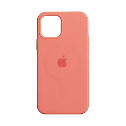 Чохол (накладка) Apple iPhone 12 / iPhone 12 Pro, Silicone Classic Case, Pink Citrus, MagSafe, Помаранчевий