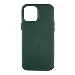 Чохол (накладка) Apple iPhone 12 / iPhone 12 Pro, Leather Case Color, MagSafe, Зелений