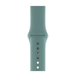 Ремінець Apple Watch 38 / Watch 40, Silicone Band, Кактус, Зелений
