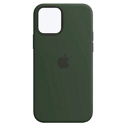 Чехол (накладка) Apple iPhone 12 / iPhone 12 Pro, Original Silicon Case, MagSafe, Cyprus Green, Зеленый