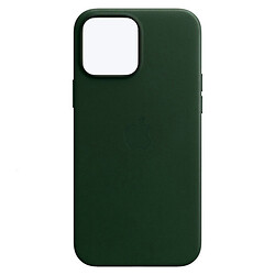 Чохол (накладка) Apple iPhone 13, Leather Case Color, Sequoia Green, MagSafe, Зелений