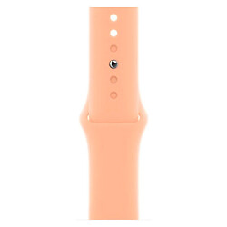 Ремешок Apple Watch 38 / Watch 40, Silicone WatchBand, Cantaloupe, Бежевый