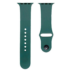 Ремешок Apple Watch 42 / Watch 44, Silicone WatchBand, Cactus, Зеленый