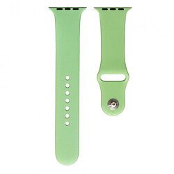 Ремешок Apple Watch 38 / Watch 40, Silicone WatchBand, Party Green, Зеленый