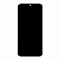Дисплей (екран) Doogee S98 / S98 Pro, Original (PRC), З сенсорним склом, Без рамки, Чорний