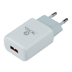 МЗП Ridea RW-11111 Element, MicroUSB, З кабелем, 2.1 A, Білий