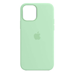 Чохол (накладка) Apple iPhone 12 / iPhone 12 Pro, Silicone Classic Case, Pistachio, MagSafe, Зелений