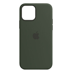 Чохол (накладка) Apple iPhone 12 / iPhone 12 Pro, Silicone Classic Case, Cyprus Green, MagSafe, Зелений