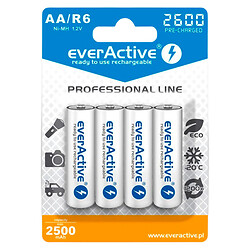 Аккумулятор everActive AA/HR06