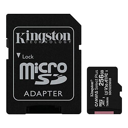 Карта памяти Kingston Canvas Select Plus microSDXC UHS-I U3, 256 Гб.