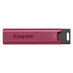 USB Flash Kingston DTMAXA, 1 Tб., Червоний