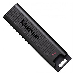 USB Flash Kingston DTMAXA, 1 Tб., Черный