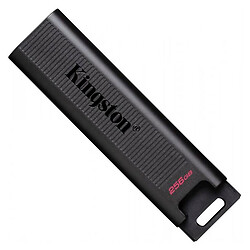 USB Flash Kingston DTMAX, 256 Гб., Чорний