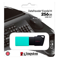 USB Flash Kingston DT Exodia M, 256 Гб., Черный