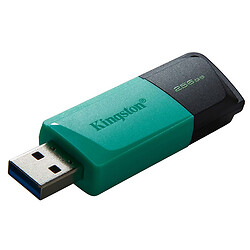 USB Flash Kingston DataTraveler Exodia M, 256 Гб., Чорний