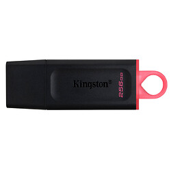 USB Flash Kingston DataTraveler Exodia, 256 Гб., Чорний