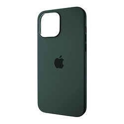 Чехол (накладка) Apple iPhone 13 / iPhone 13 Pro, Original Soft Case, MagSafe, Eucalyptus, Зеленый
