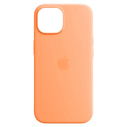 Чохол (накладка) Apple iPhone 15, Silicone Classic Case, MagSafe, Помаранчевий