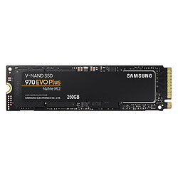 SSD диск Samsung 970 EVO Plus, 250 Гб.