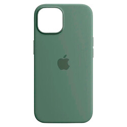 Чохол (накладка) Apple iPhone 15 Plus, Silicone Classic Case, Cyprus Green, MagSafe, Зелений