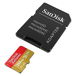 Карта памяти SanDisk MicroSDXC C10 UHS-I, 256 Гб.