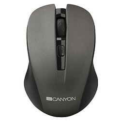 Мышь Canyon CNE-CMSW1G, Серый