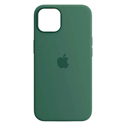Чохол (накладка) Apple iPhone 13, Silicone Classic Case, Eucalyptus, MagSafe, Зелений