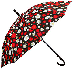 Зонтик-трость усиленный с цветным принтом