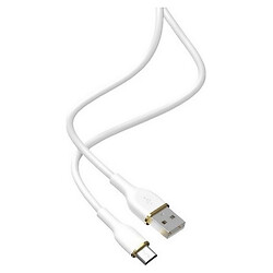 USB кабель iEnergy CA-88m, MicroUSB, 1.0 м., Белый