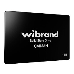 SSD диск Wibrand Caiman, 1 Тб.