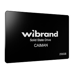 SSD диск Wibrand Caiman, 256 Гб.