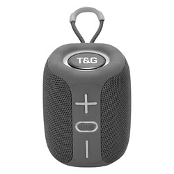 Портативная колонка T&G TG-658, Серый