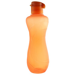 Бутылка для напитков пластиковая Titiz микс 750 мл