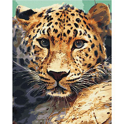 Картина по номерам "Портрет леопарда"