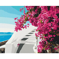 Картина по номерам "Цветы Санторини"