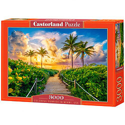 Пазлы "Цветной восход солнца в Майами", 3000 элементов
