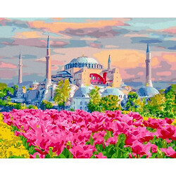 Картина по номерам "Стамбульские цветущие поля"