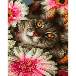 Картина по номерам "Кот в цветах" 40х50 см