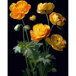 Картина за номерами на чорному фоні "Жовті квітки" 40х50