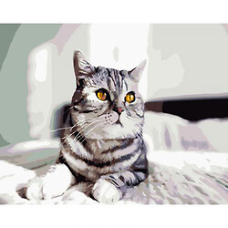 Картина по номерам "Игривый серый кот"  40х50 см