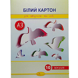 Набор белого картона, 10 листов (формат А3), Апельсин