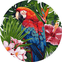 Картина по номерам (круглая) "Яркий попугай"