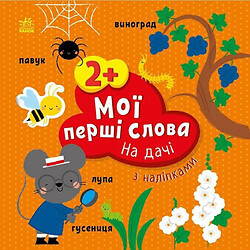 Книга "Мои первые слова (с наклейками): На даче", укр, Ранок