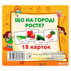 Набір карт (міні): Що росте на городі, 18 карт (укр), Jumbi