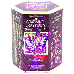 Набор для проведения опытов "Growing Crystal" (укр), Danko Toys