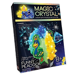 Набір для проведення дослідів "MAGIC CRYSTAL" Павич, Dankotoys